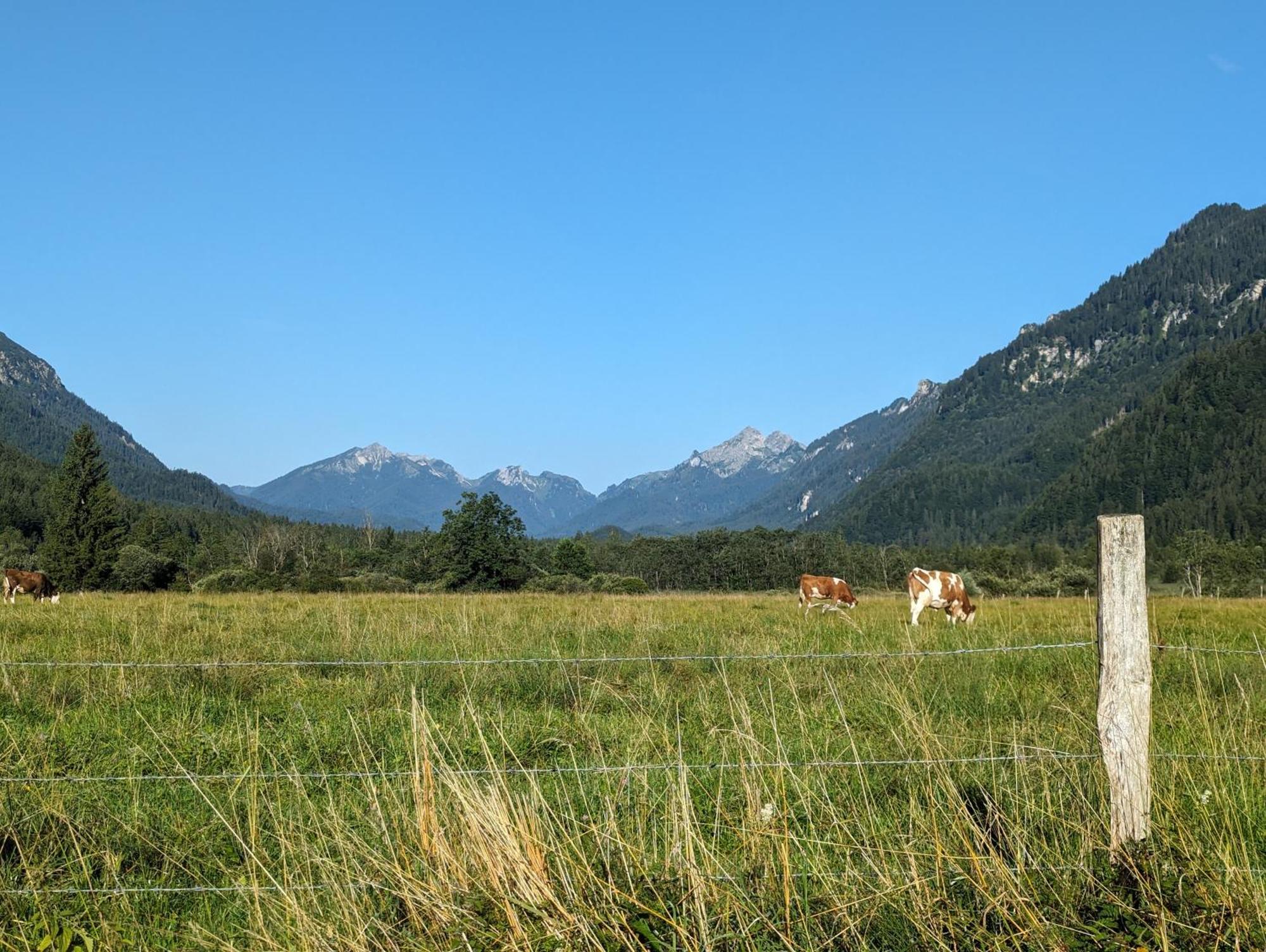 Zur Alten Schmiede Ettal Exteriér fotografie